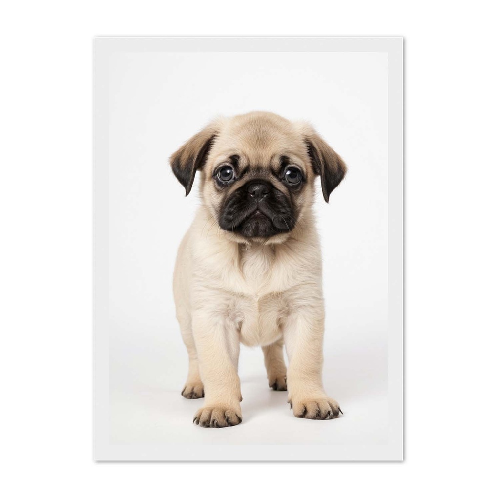 Mops