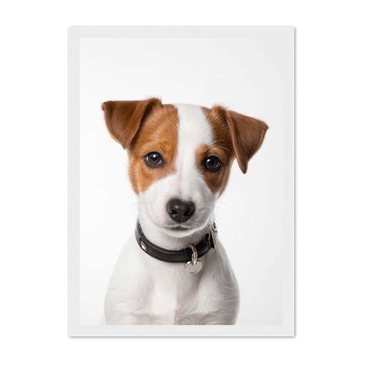 Jack Russell