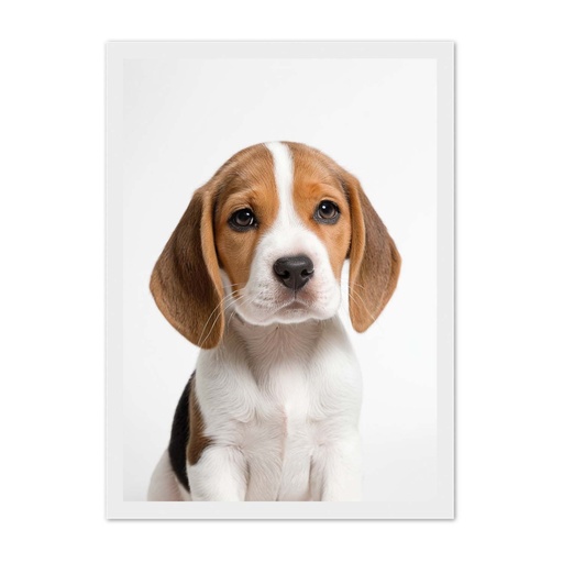 Beagle